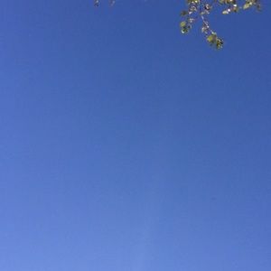 Meet your Posher, Carina